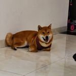 Jackson Liao - @liao4300 - Instagram