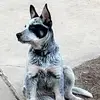 Jackson Liles - @jaxpanda - TikTok