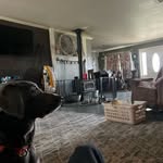Jackson ray liles - @jacksonrayliles - Instagram