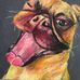 Jackson Lindley - Facebook