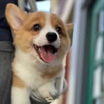 JACKSON-ling - @jacksonling3 - Instagram