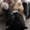 Jackson - @jackson.lopez__ - TikTok