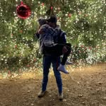 Jackson Lowe - @jdlowe2023 - Instagram