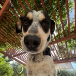 Jackson Lowe - @jacksonlowe9958 - Instagram