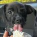 Jackson Lowe - Facebook
