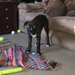Jackson Luckett - @the.boxer.jax - Instagram