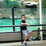 Jackson Machado - @jacksonmachado4626 - Instagram