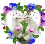 Jackson Macias - Facebook
