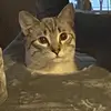 Jackson Manning - @jackson.manning7 - TikTok