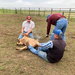 Jackson Mares - @jackson.mares - Instagram