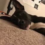 Jackson Marlow - @its_jackson_duh - Instagram