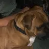 Jackson mars - @jackson.mars21 - TikTok