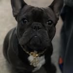 JACKSON MASON - @jacksonmason487 - Instagram