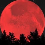 Jackson - @jackson.mayberry05 - Instagram