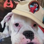 Jackson Mayer - @mayer.jackson - Instagram