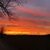 Jackson McCarty - @jacksonmccarty0 - TikTok