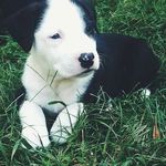 Jacksonnn - @jackson____mccarty - Instagram