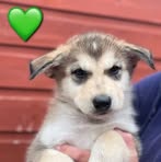 Jackson McClellan - Facebook