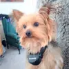 Jackson McCoy  - @mccoy.jackson - TikTok