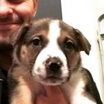 JacksonWesMcewen - @jackson.wes.mcewen - Instagram