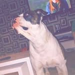 Jackson Mcgregor - @jmcgregor99 - Instagram