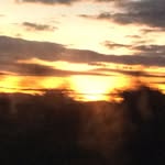 Jackson Mcgregor - @jackson_mcgregor101 - Instagram