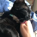 Jackson McKnight - @jackson.a.mcknight - Instagram