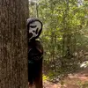 Jackson McMullen - @j.mcmullen - TikTok