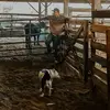 Jackson Meek - @jacksonmeek100 - TikTok