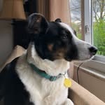 Jackson The Meek - @jacksonthemeek - Instagram