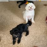 Jackson & Miley - @life_of_jackson_and_miley - Instagram