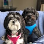 Jackson & Miley - @jacksonandmiley - Instagram