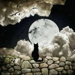 Jackson Montes - Facebook