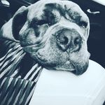 jackson morey - @jacksonmorey22 - Instagram
