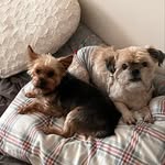 Jackson Morton - @jacksmort05 - Instagram
