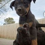 THIS GUY  moser beast - @jackson_moser_dab_on_dem_boyzz - Instagram
