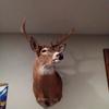 Jackson Mueller - @mueller_44 - TikTok