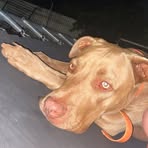 Jackson Muldoon - Facebook