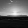 Jacko - @jackson.murrell005 - TikTok