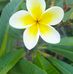 Jackson Nesbitt - Facebook