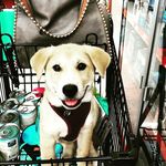 FlapJack - @jackson.nielsen - Instagram