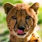 Jackson Norman - @jacksonnorman532 - Instagram