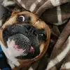 Jackson Oneal - @jackson.oneal2 - TikTok