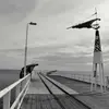 Jackson Ortega - @jacksonortega565 - TikTok