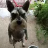 jacksonortega108 - @jackson.ort - TikTok