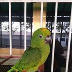 Jackson Padilla - Facebook