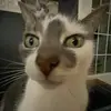Jackson Peck - @jackson.peck4 - TikTok
