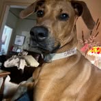 Jackson Pellerin - Facebook
