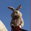 jackson pena - @luverjackson - TikTok