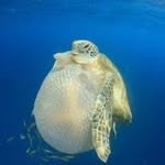 Jackson peterson - @jacksonpeterson707 - Instagram